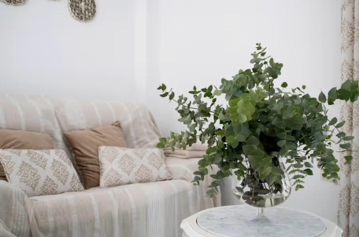 Apartamento Cataleya Ronda Exteriör bild